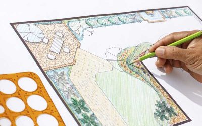 5 Important Steps to Know When Hiring a Landscape Designer